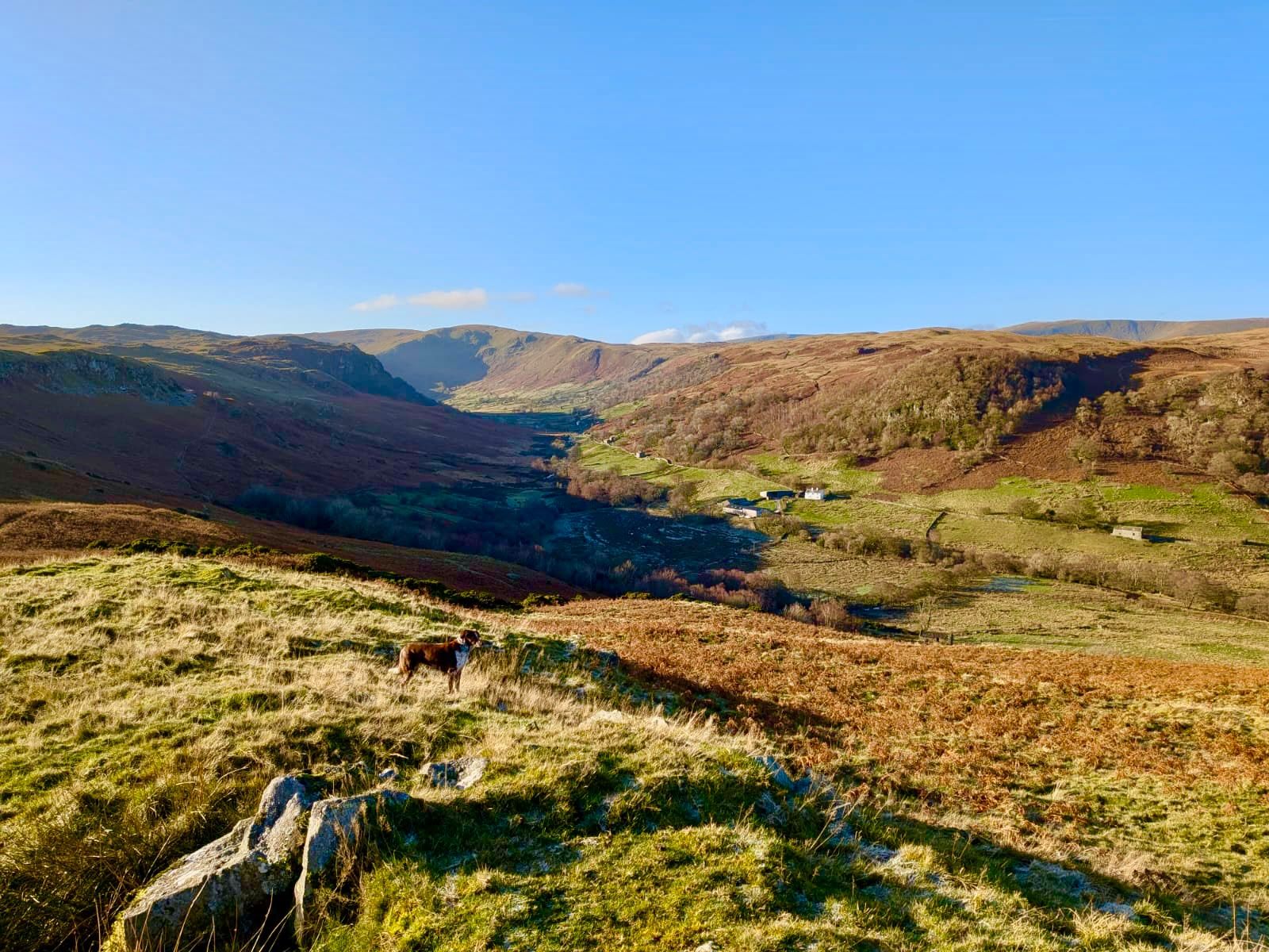 An autumn valley of bracken and green fields under a blue sky.