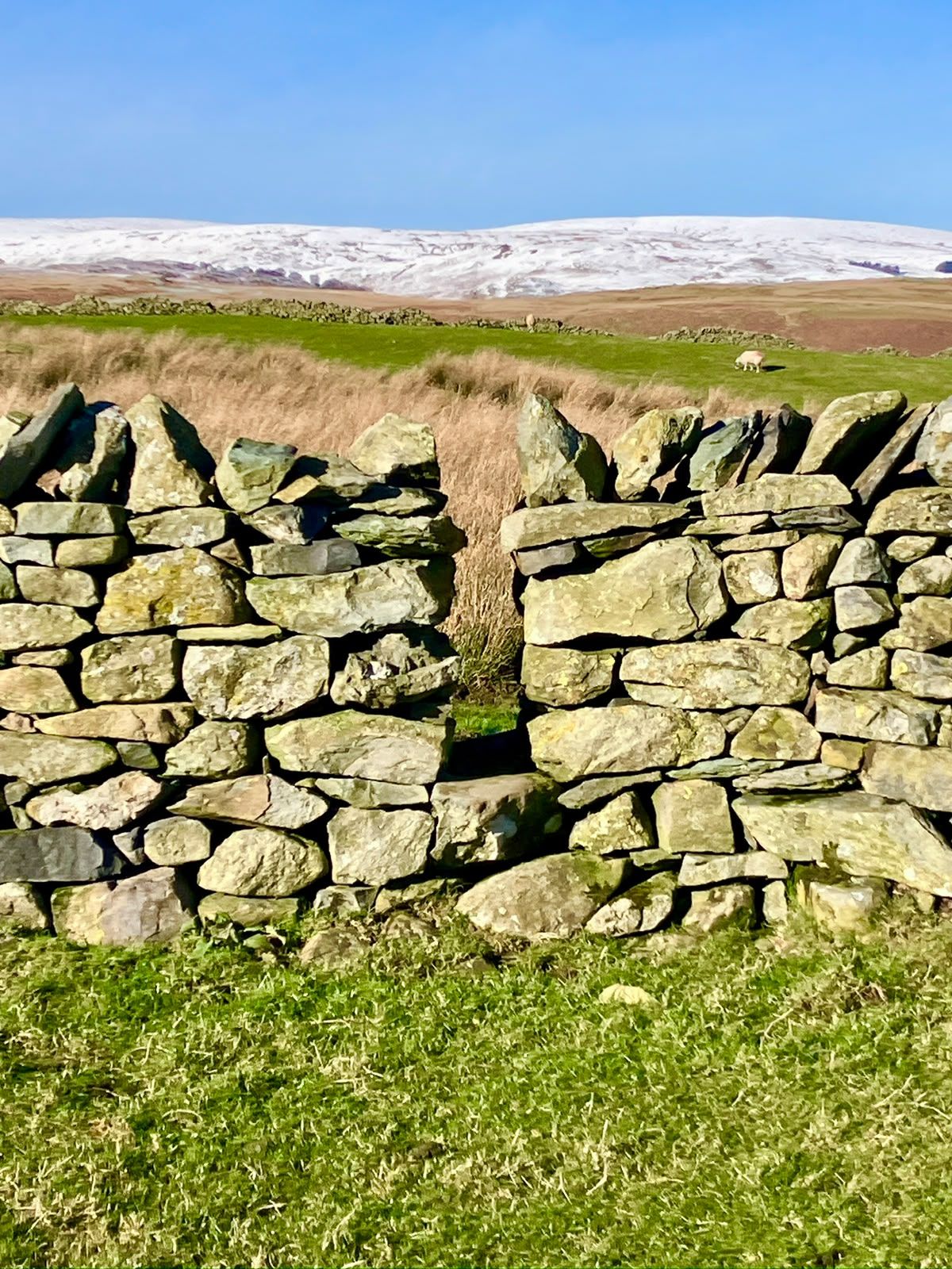 A dry stone wall with snowy fells beyond.