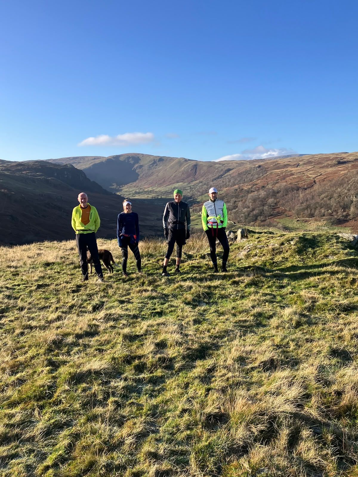 Four runners and a dog on open fell, with hills behind.